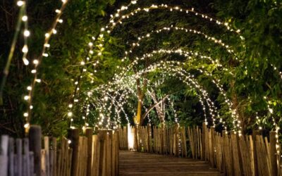 Iluminación Led en el diseño de exteriores